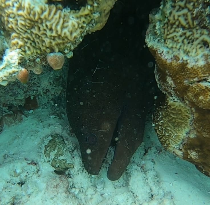 Sport & Freizeit NH Collection Maldives Reethi Resort