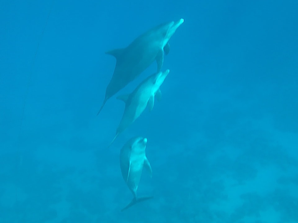 Strand Casa Mare Resort