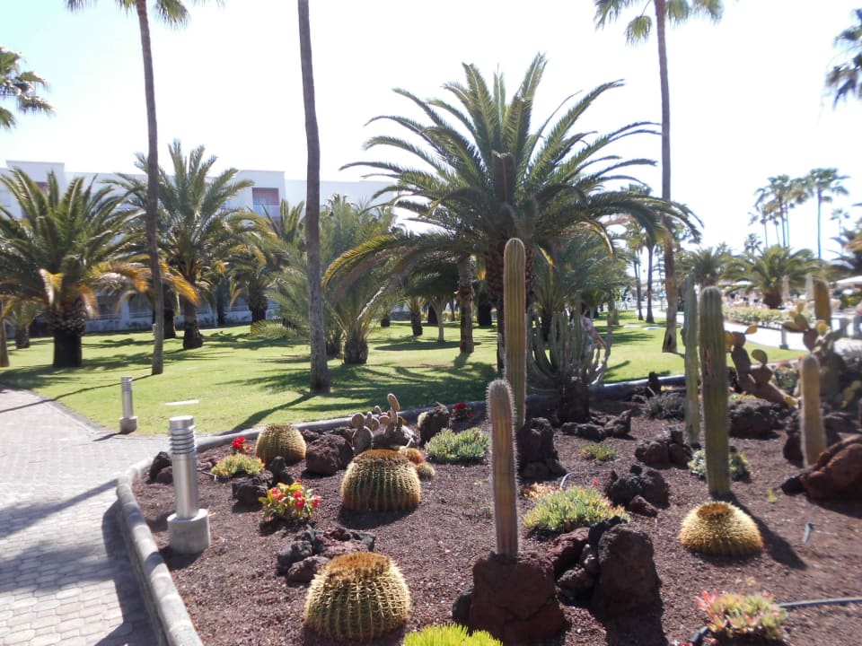 Ausblick Hotel Riu Gran Canaria