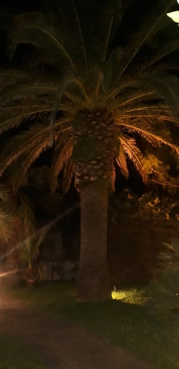 Gartenanlage Hotel Tritone Terme & Spa