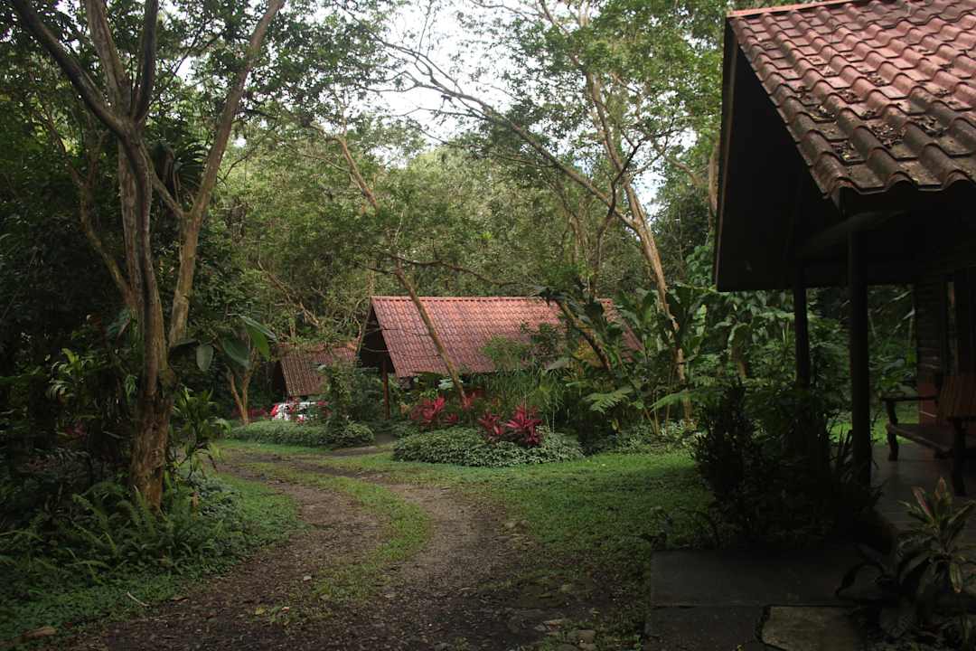 Nachbarhütten im Dschungel Hotel Oasis Fortuna