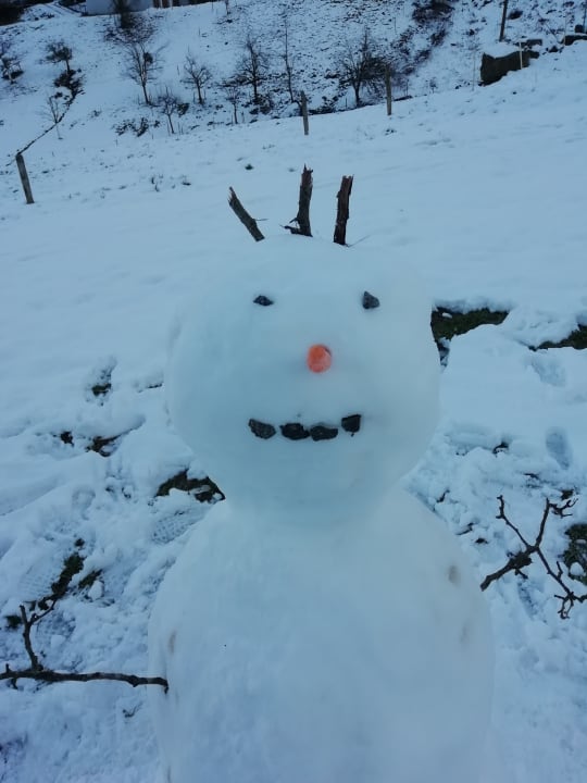 Gartenanlage Bauernhof Bernhardenhof