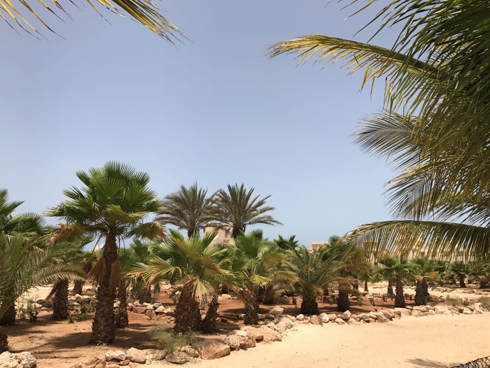 Gartenanlage Hotel Riu Touareg