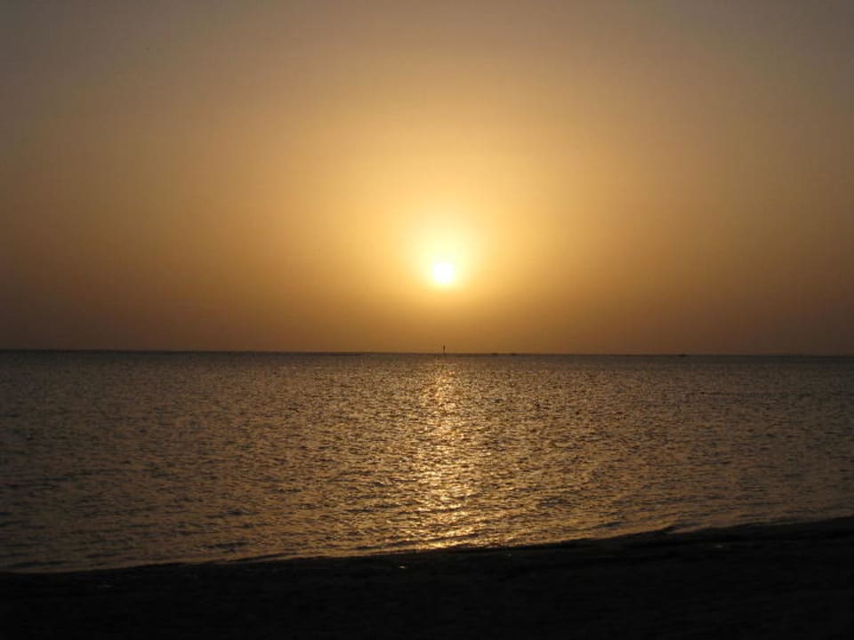 Sonnenaufgang Pickalbatros Royal Moderna Resort-Sharm El Sheikh