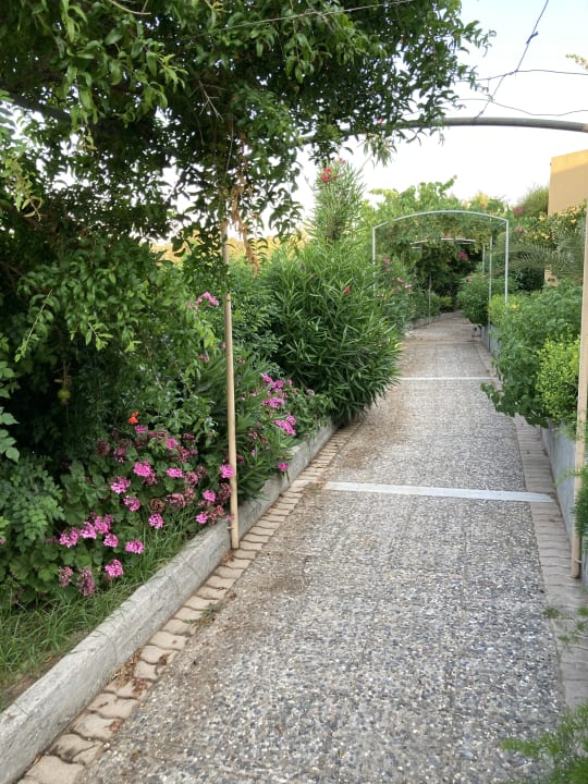 Gartenanlage Hydramis Palace Beach Resort