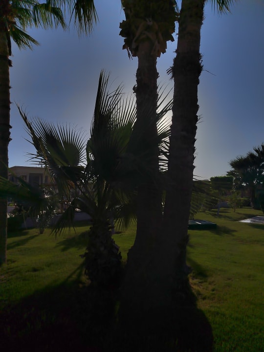 Außenansicht Hotel Sheraton Soma Bay Resort