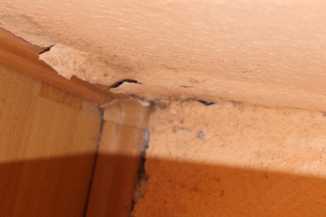 Schimmelbefall Ferien Hotel Bad Malente