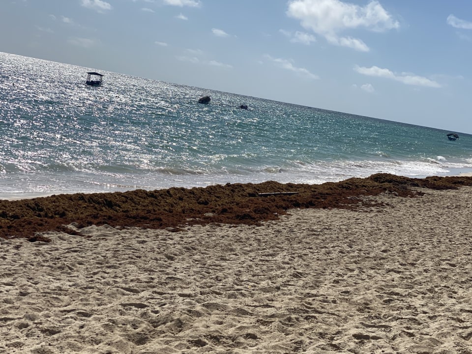 Strand TRS Turquesa Hotel - Adults only