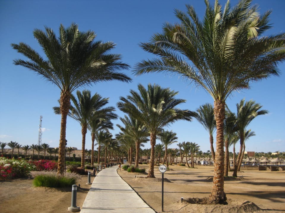 Weg zum Strand Jaz Solaya