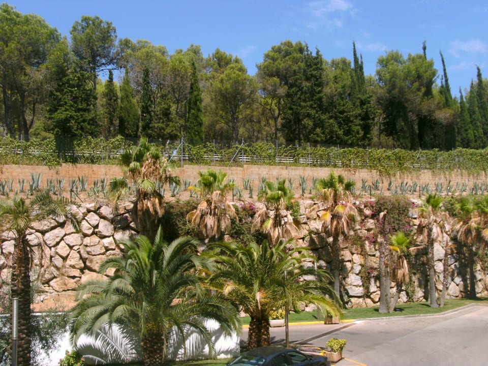 Ausblick Aparthotel Costa Encantada