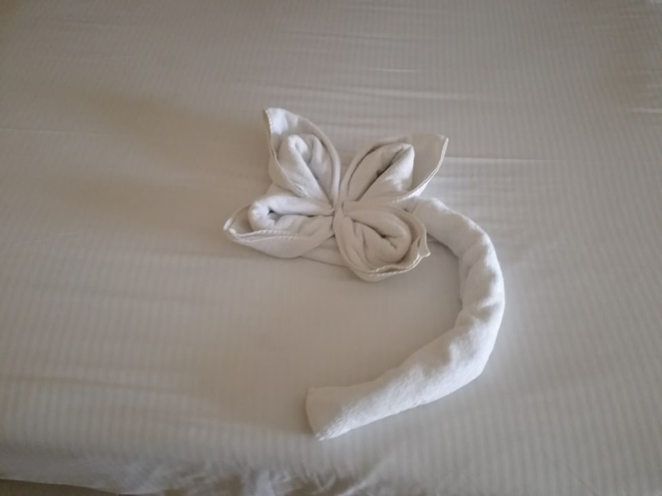 Zimmer Coral Sea Holiday Village