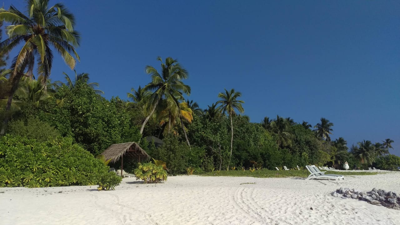 Strand Summer Island Maldives