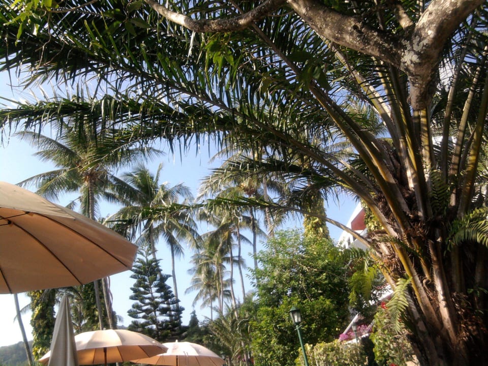 Palmen Best Western Phuket Ocean Resort