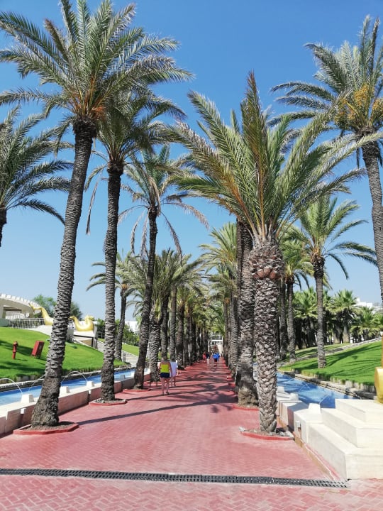 Gartenanlage Monachus Family Resort Sorgun