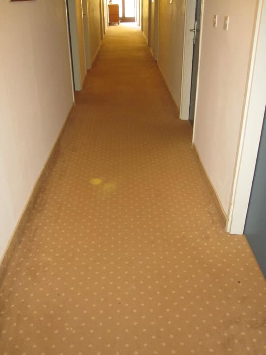 Schrecklich   Hotel Umag Plava Laguna