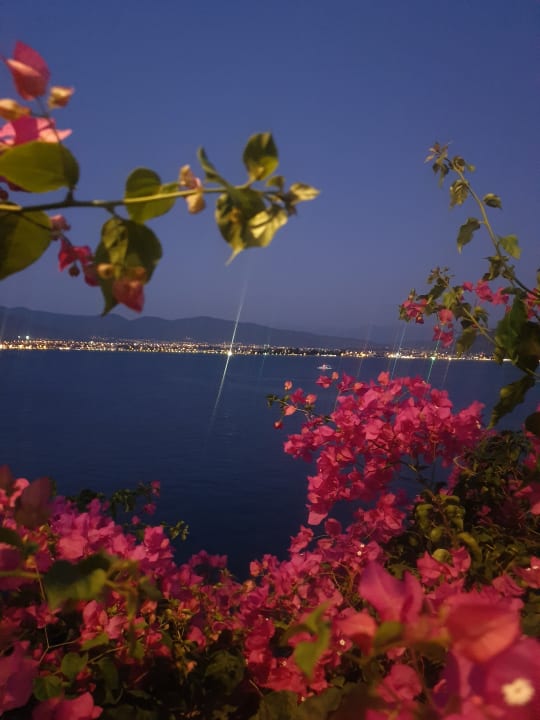 Gartenanlage Club & Hotel Letoonia