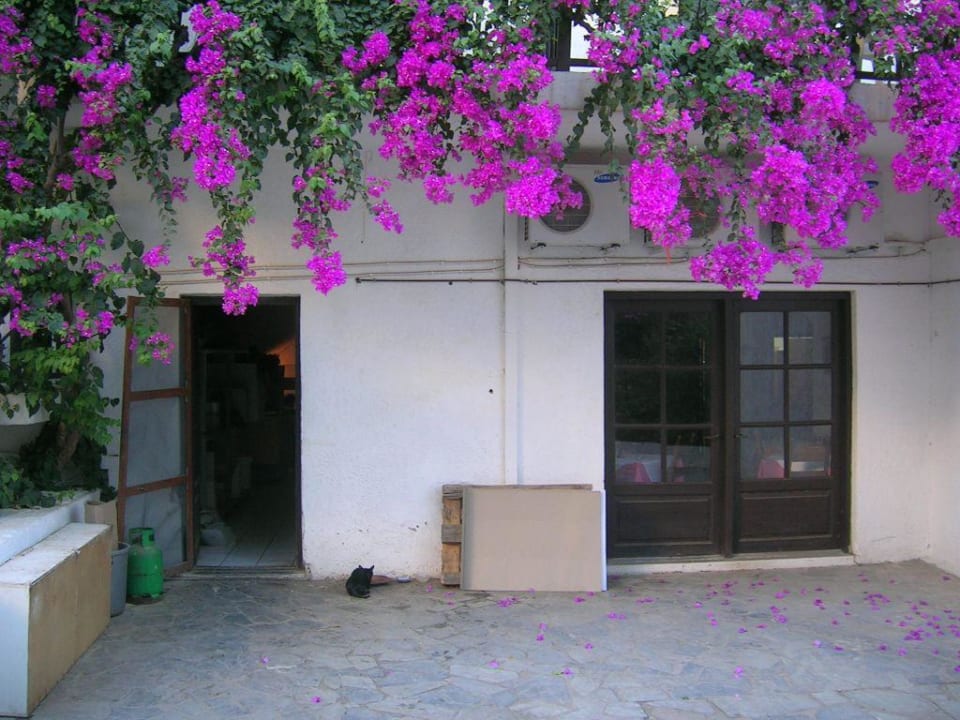 Marilena Außenansicht Marilena Hotel