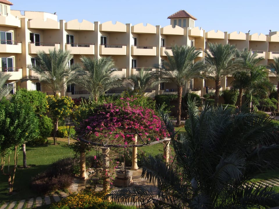 Ogród cd. Amwaj Beach Club Abu Soma Resort
