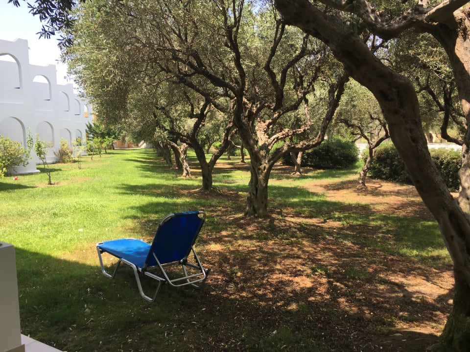 Gartenanlage TUI KIDS CLUB Alex Beach