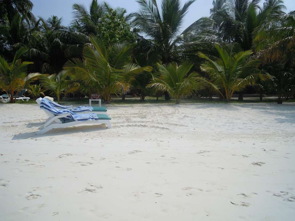 Eigene Liegen am Strand Meeru Maldives Resort Island