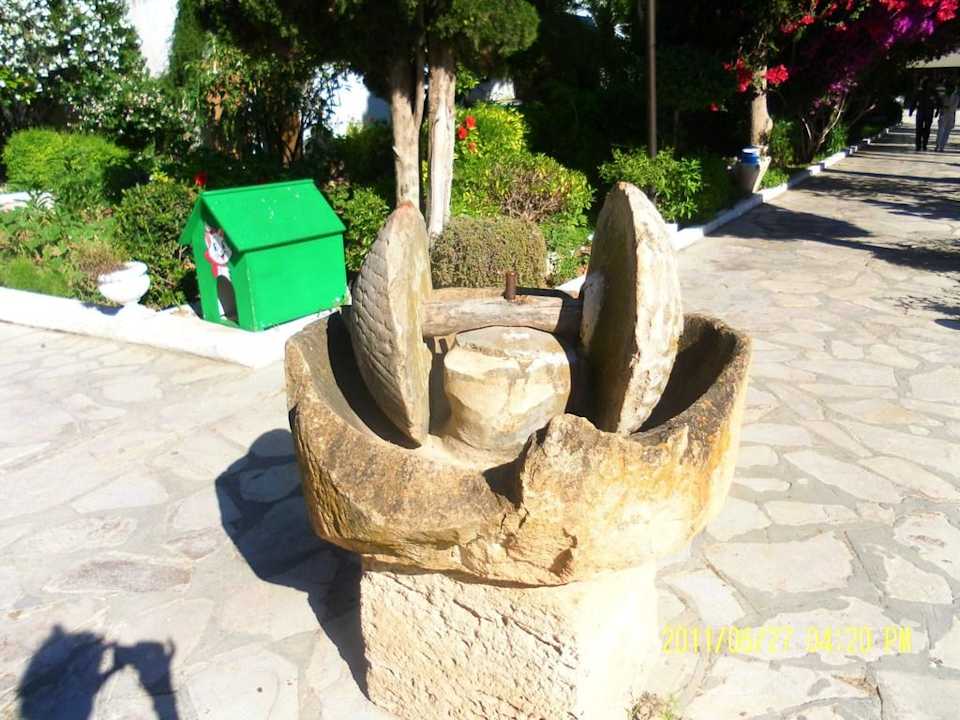 Mühlrad The Orangers Beach Resort and Bungalows