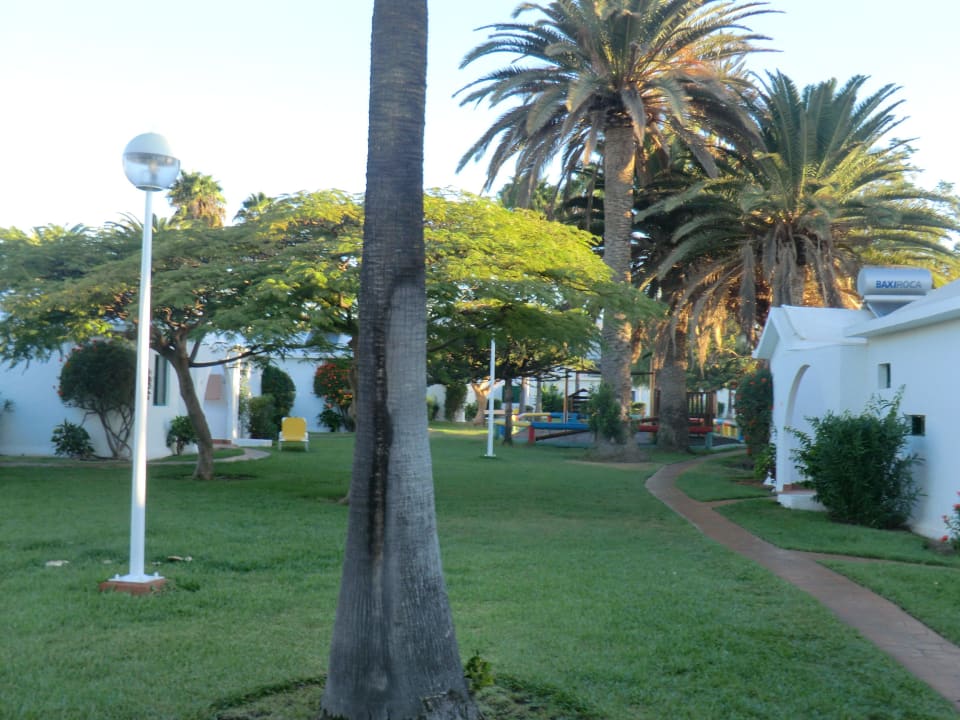 Sehr grün Canary Garden Club