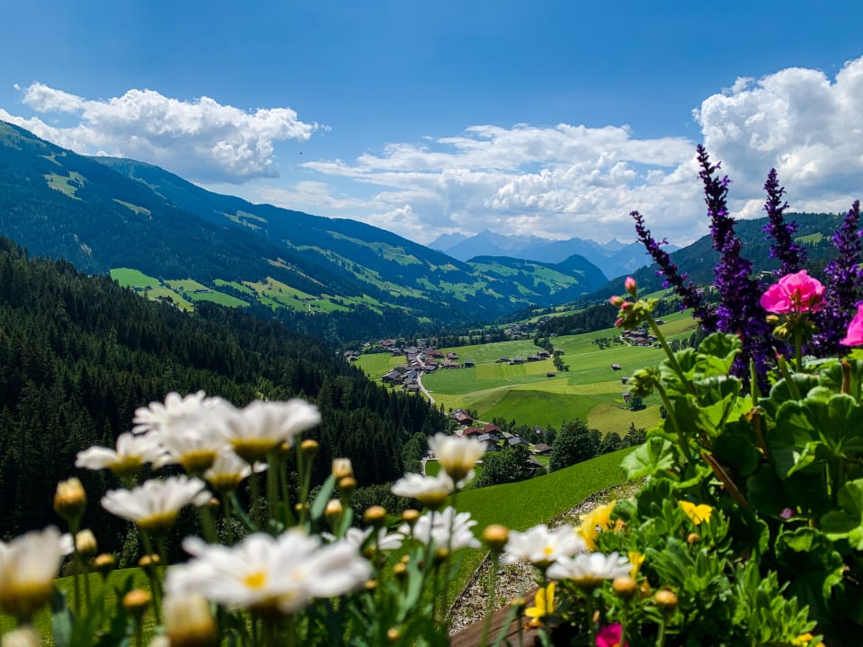 Ausblick Rosenhof Apartments