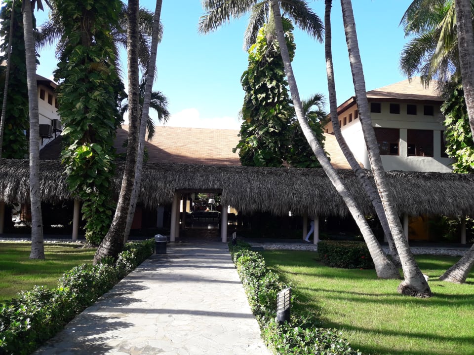 Gartenanlage Hotel Grand Palladium Palace Resort, Spa & Casino