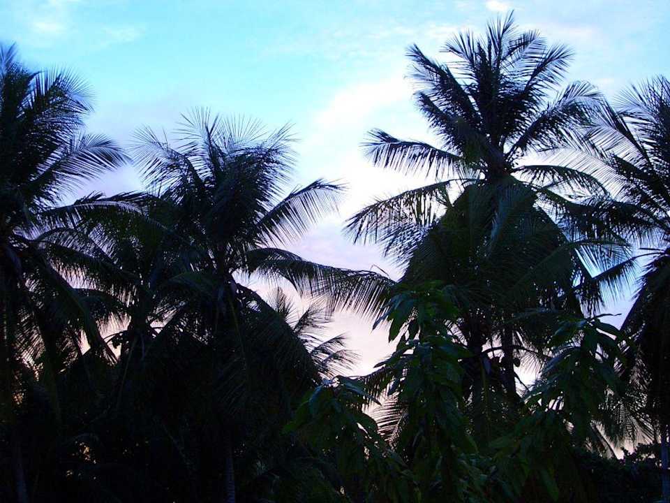 Hotelanlage Hotel Miramar Village