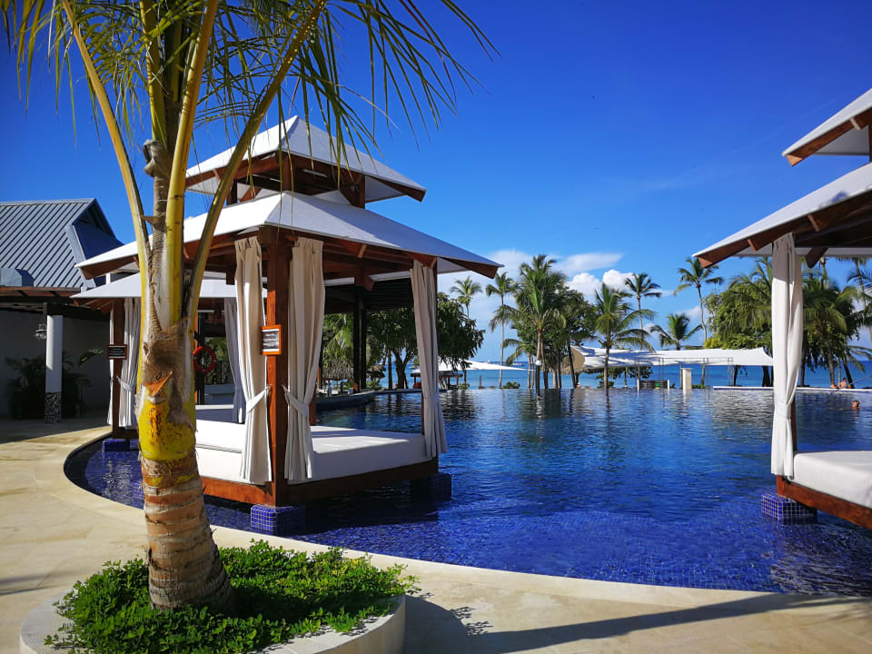 "Pool" Hilton La Romana (Bayahibe) • HolidayCheck (Dominikanische ...