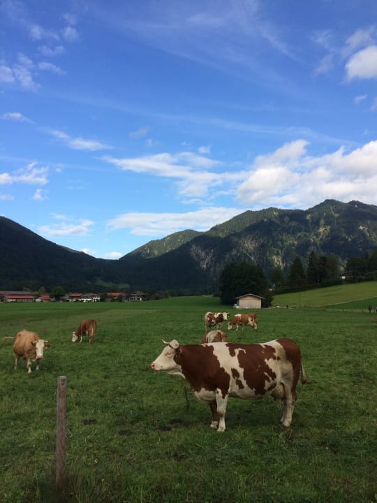 Sonstiges Familien Bauernhof Berghammer