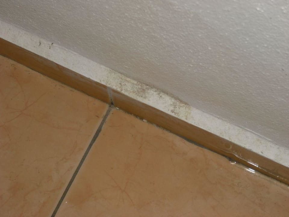 Spartipzimmer (econemy) Papillon Belvil