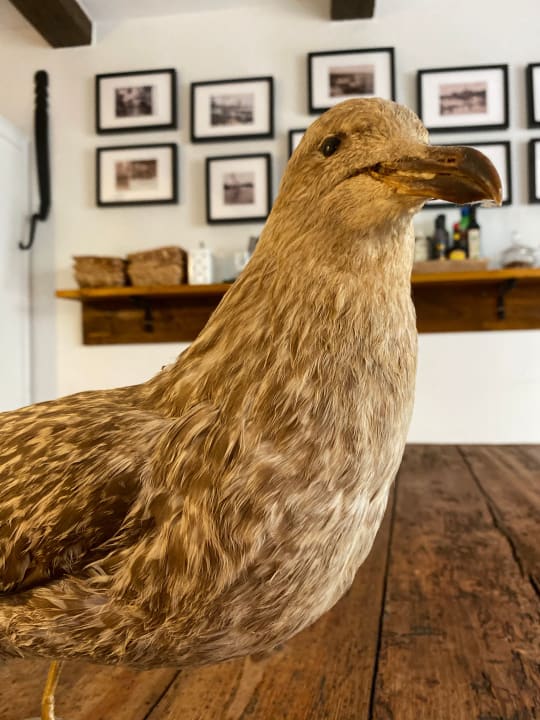 Sonstiges Hotel Knurrhahn