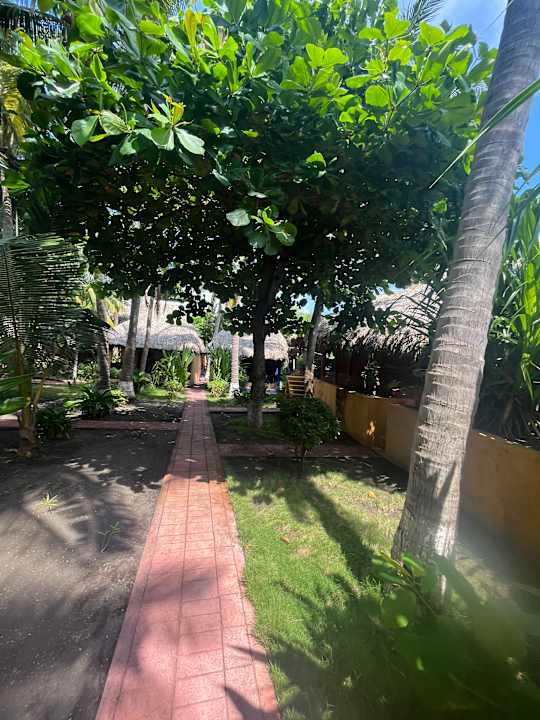 Gartenanlage Hotel Pez de Oro