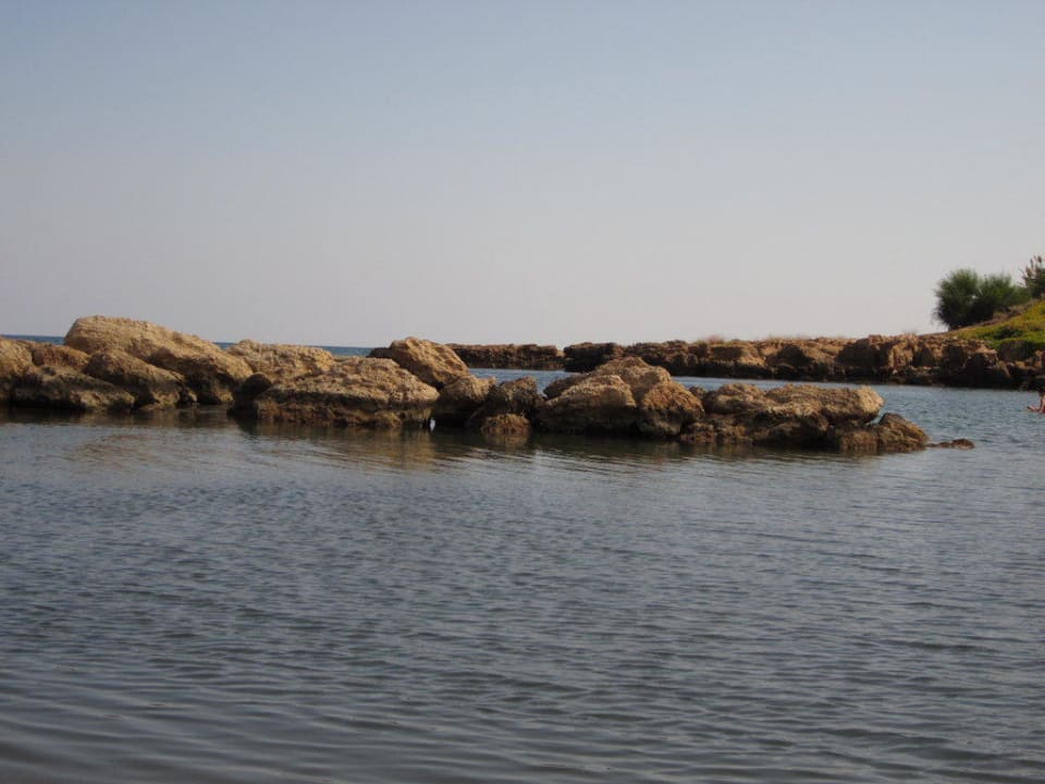 Die kleine Bucht  Crystal Springs Beach Hotel