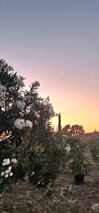 Gartenanlage Natura Park Village Hotel & Spa