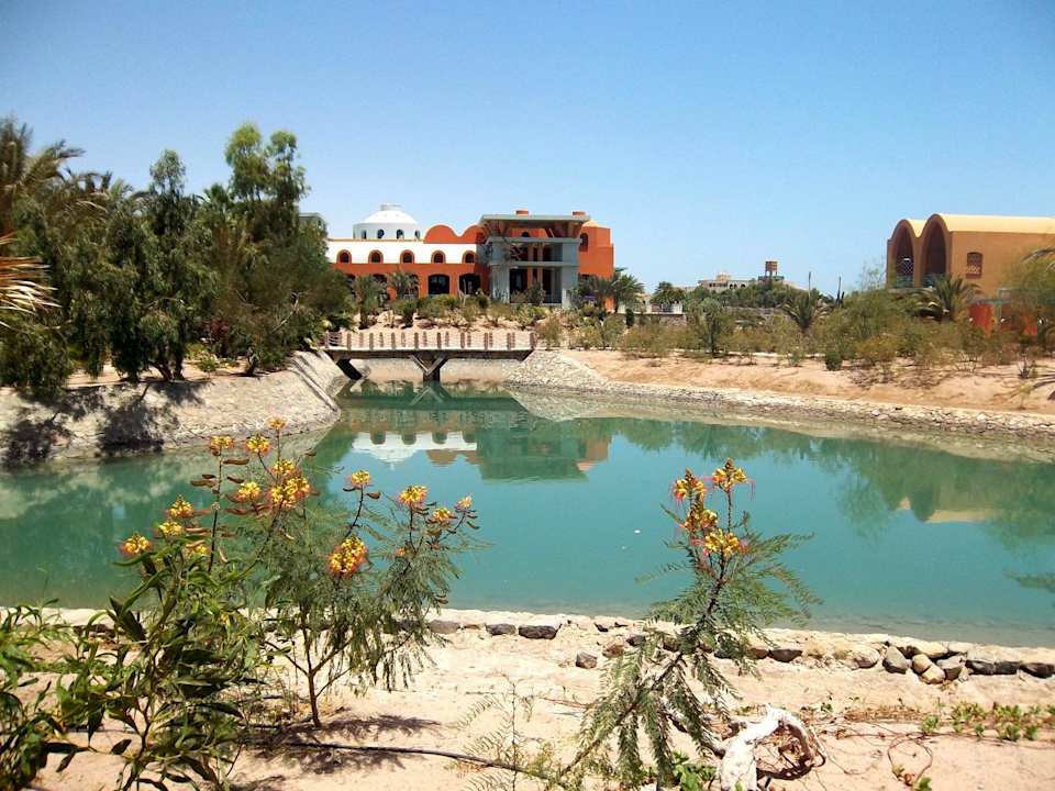 Außenanlage des Hotels Sheraton Miramar Resort El Gouna