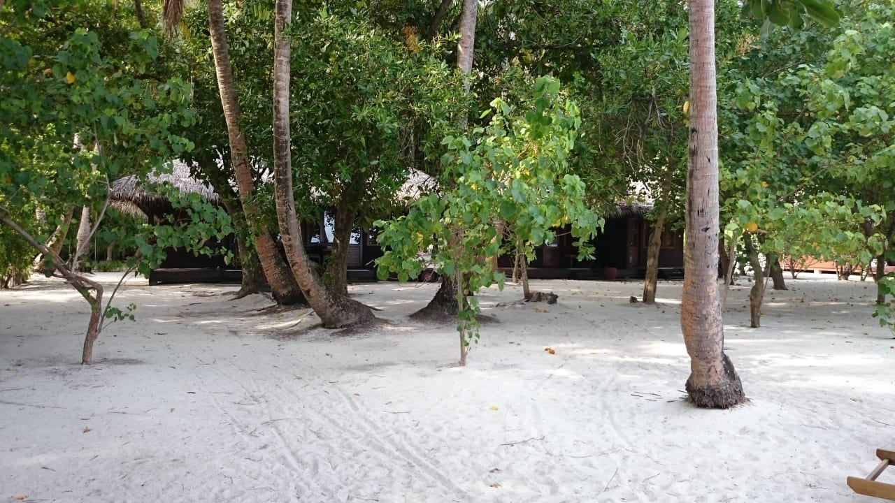 Wege am Bungalow / Strand Filitheyo Island Resort