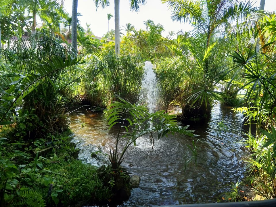 Gartenanlage TRS Turquesa Hotel - Adults only