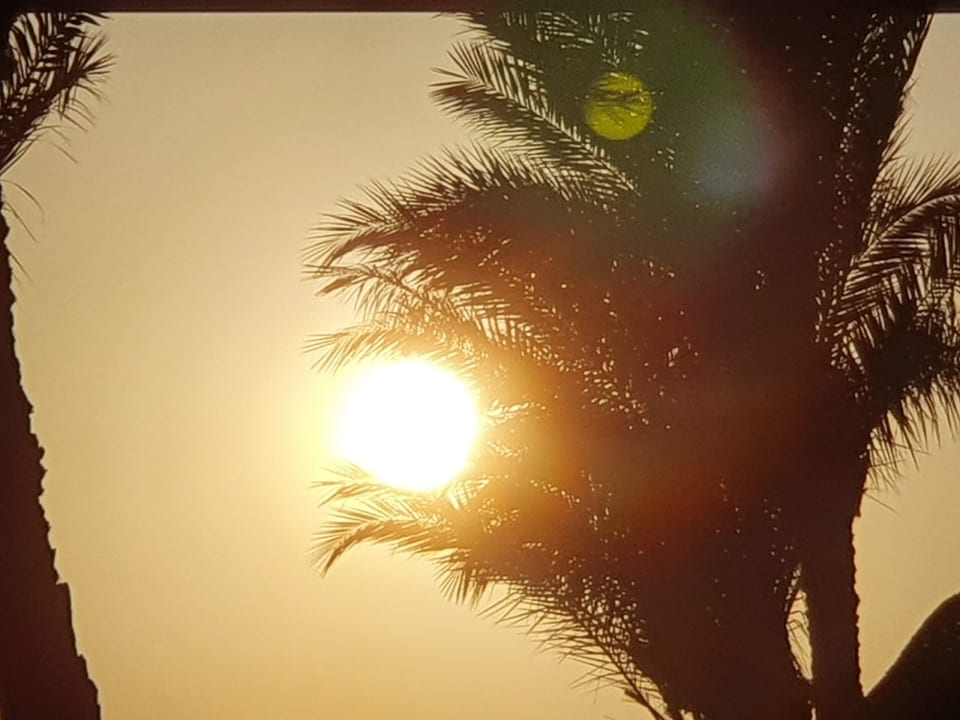 Garten Pickalbatros Royal Moderna Resort-Sharm El Sheikh