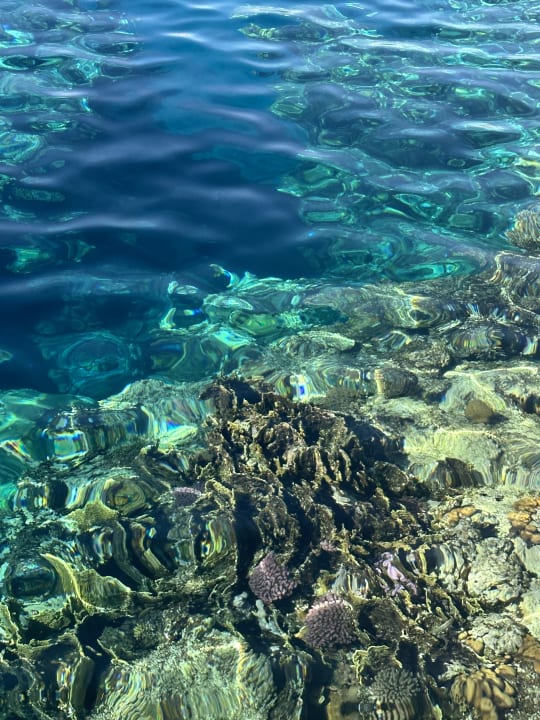 Strand Malikia Resort Abu Dabbab