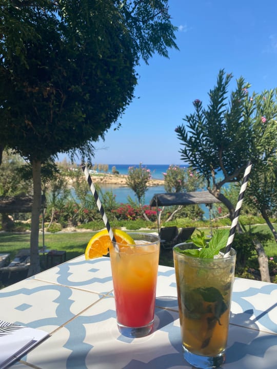 Gastro Crystal Springs Beach Hotel