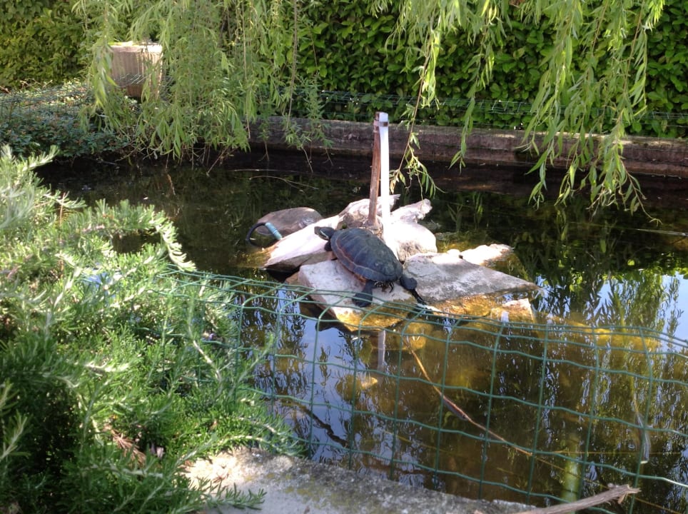 Gartenanlage mit Brunnen Villa Ca Nova