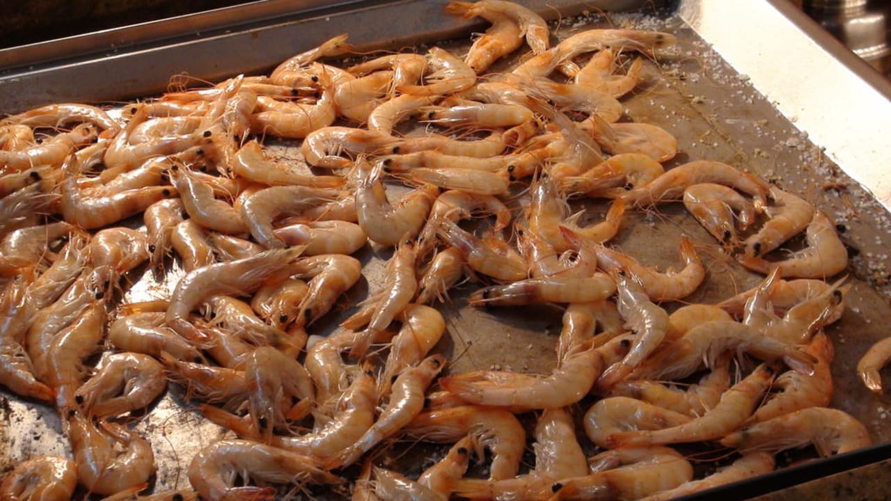 Lecker Essen Bull Dorado Beach & Spa