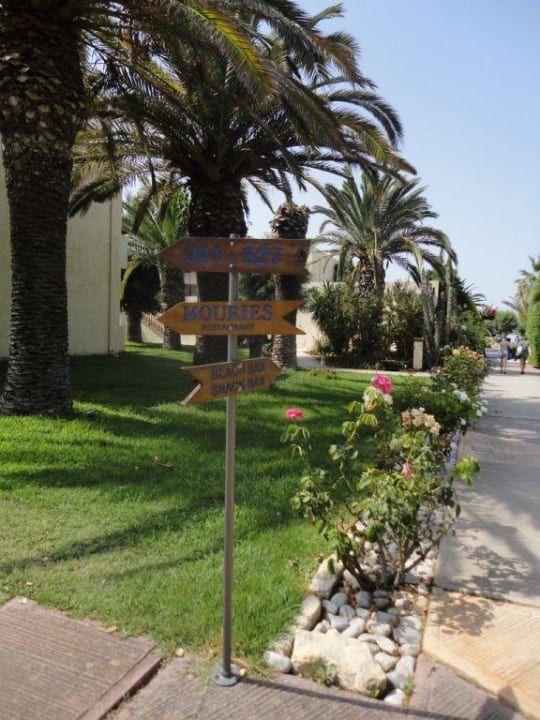 Ogród allsun Hotel Malia Beach