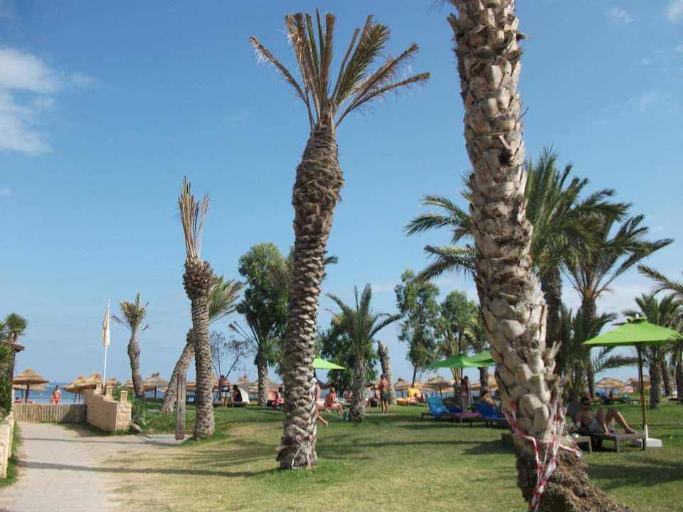 Weg zum Strand Hotel Rosa Beach