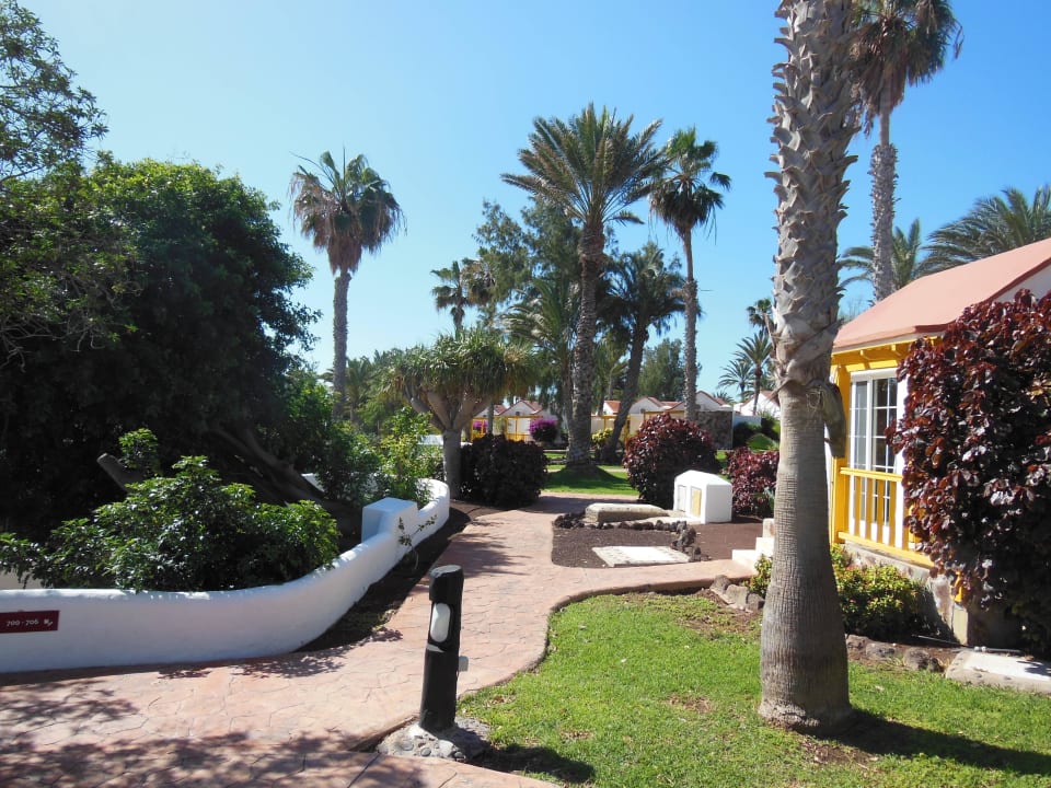 Vorbei an viel grün... Aldiana Club Fuerteventura