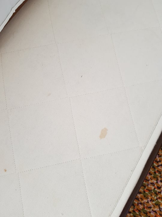 Zimmer Pallini Beach Hotel