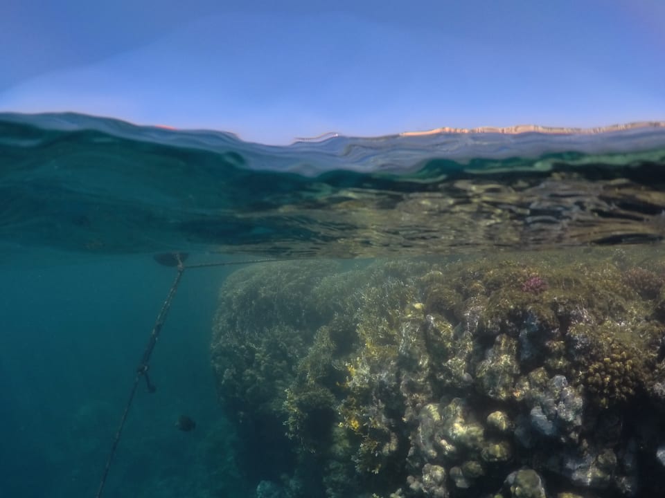 Strand Steigenberger Coraya Beach - Adults only