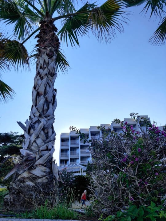 Außenansicht Carine Hotel Delfin